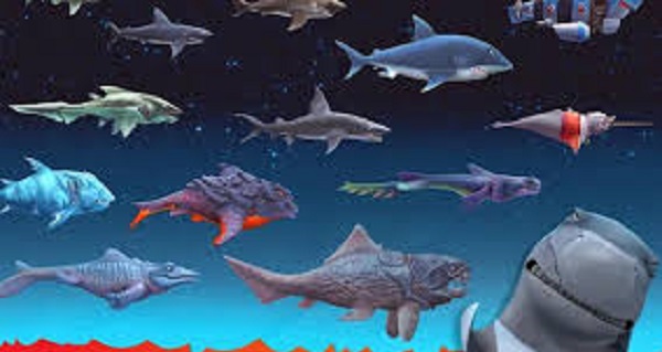 hungry shark evolution